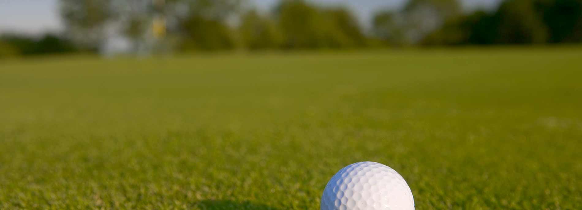 Maxweb Sponsor Prenton Golf Club
