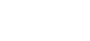 Falcon FX Logo