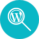 WordPress SEO Services